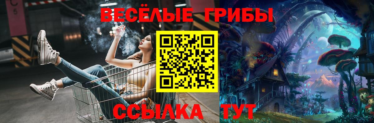 Мурманск  Галлюциногенные грибы Psilocybine cubensis  Вход с VPN 